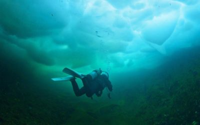 ICE DIVER