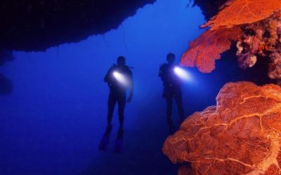DEEP DIVER