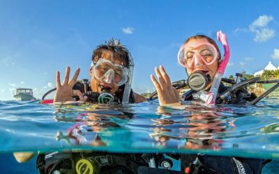 OPEN WATER DIVER